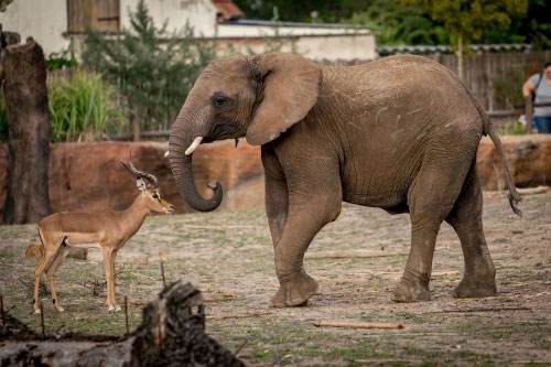 Zoo Magdeburg